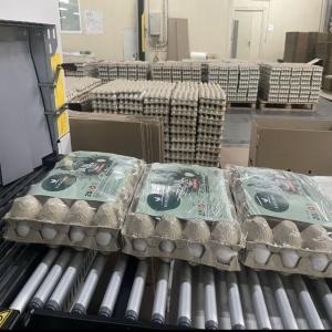 Recherche de client viandes et oeufs Aujourd'hui Vente oeufs en gros