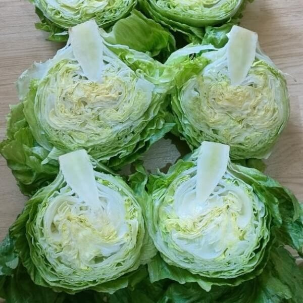 producteur Recherche de client fruits et légumes